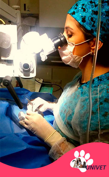 Veterinária com equipamentos de proteção e higiene olhando através de aparelho durante cirurgia.